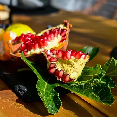 Noa וילה אורביץ