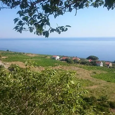 Noa *